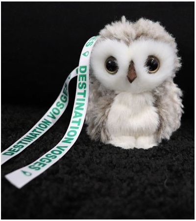 produit-bebe-vosgibou-porte-cle-destination-vosges-88