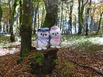 Vosgibou et Vosgibouette 